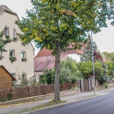 Pension Muldental Grossbothen Grimma Exterior photo